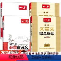全套4册 初高中必背古诗词+文言文 [正版]2024新版 初高中必背古诗词和文言文 初中生必背古诗文126篇文言文全解通