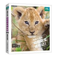 正版新书]奇趣大自然 动物萌宝成长记 修订版(英)劳拉·巴威克978