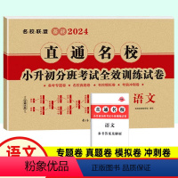 [正版]2024版 直通名校 小升初分班考试全效训练试卷 语文 名校名卷 小考重点小学升初中招生分班面试考试卷子 六年