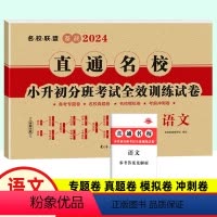 [正版]2024版 直通名校 小升初分班考试全效训练试卷 语文 名校名卷 小考重点小学升初中招生分班面试考试卷子 六年