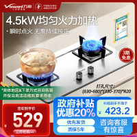 万和(Vanward)[小灶君]B6液化气燃气灶具钢化玻璃煤气炉双灶嵌入式4.5kW家用猛火一级能效家电 B6B60