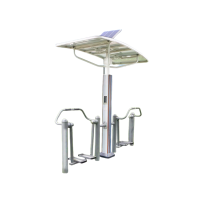 晨洋体育(ChenyangTY) 户外双人位漫步机 CYTY-145 组