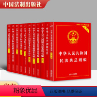 [正版] 2021版民法典全套11册 法律书籍全套 民法典总则物权婚姻家庭公司劳动合同保险道路安全消费者权益 中国