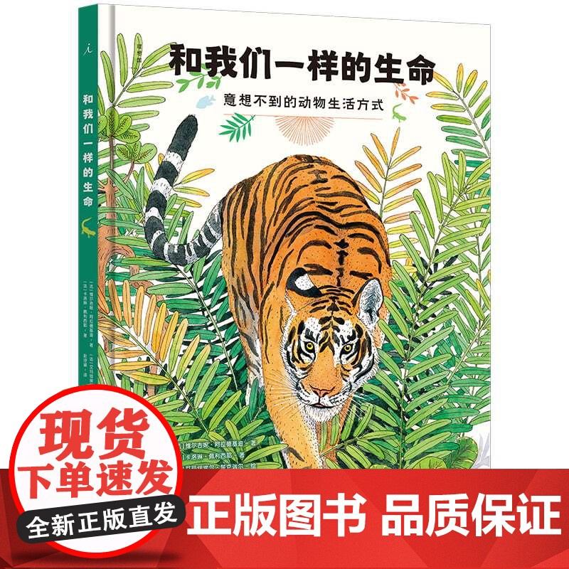和我们一样的生命 意想不到的动物生活方式 维尔吉妮 阿拉德基迪 著 23个动词探索动物奇妙的一生 儿童绘本 理想国图书店