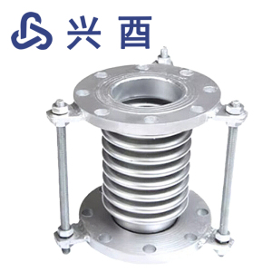 兴酉 法兰式波纹补偿器 DN100 个