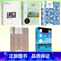 赫尔曼·黑塞与托马斯·曼书信集 [正版] 赫尔曼·黑塞作品任选 克林索尔的夏天 黑塞书信集 玻璃球游戏 赫尔曼·黑塞与托