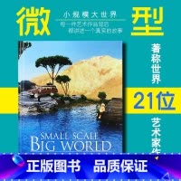 [正版]英文原版 袖珍之作微缩艺术 仿真微缩景观模型 Small Scale Big World: The Cultu