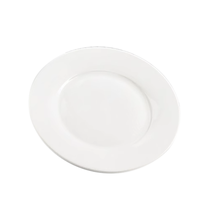 海铁科技骨碟14英寸/个