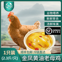 [苏鲜生推荐]三物纪 皖南金凤黄油老母鸡2.3-2.6斤/只 1只装 新鲜现杀冷冻农家慢养走地鸡