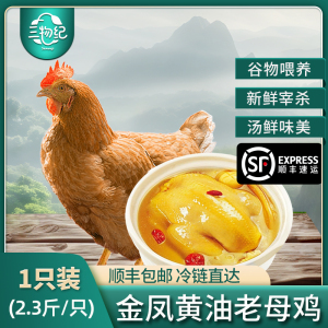 [苏鲜生推荐]三物纪 皖南金凤黄油老母鸡2.3-2.6斤/只 1只装 新鲜现杀冷冻农家慢养走地鸡