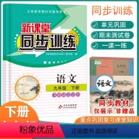 语文 九年级/初中三年级 [正版]2024新课堂同步训练语文九年级下册课堂辅导人教版专项训练九年级