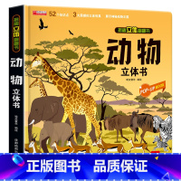 揭秘动物立体书(260*260mm开本) [正版]探秘海洋立体书儿童3d立体书海底世界ar书动物世界百科全书揭秘系列儿童