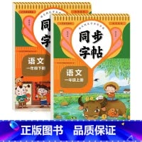 [1年级上册+下册]语文同步字帖 小学通用 [正版]人教版字帖二年级上册同步练字帖三四年级五年级六年级上册下册语文同步字