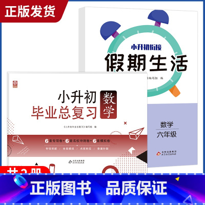 小升初+假期作业[数学] 小学升初中 [正版]2023小升初系统总复习真题卷必刷题人教版复习资料模拟试卷小学毕业总复习冲