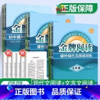 [实惠❤️拿高分]现代文+文言文阅读 八年级 [正版] 金牌阅读初中七年级八年级九年级语文课外现代文阅读文言文阅读训练初