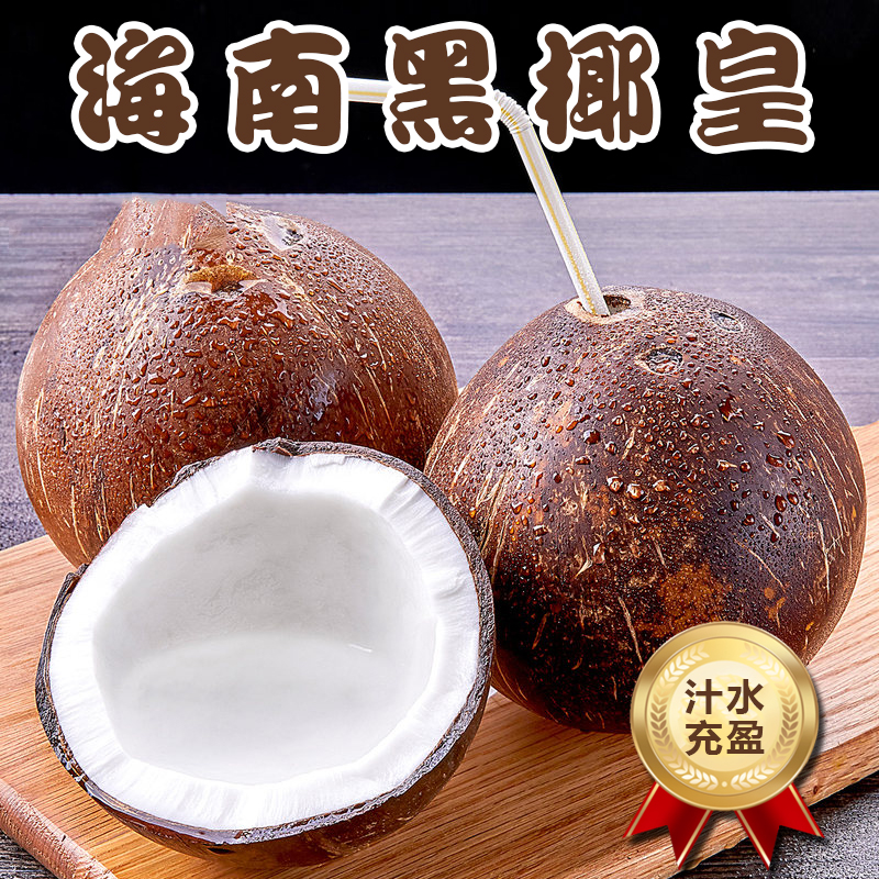 [西沛生鲜]海南黑椰皇 4个装 单果550-950g 新鲜椰子 当季热带水果 汁水充沛