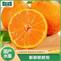 [苏鲜生]四川新鲜耙耙柑 净重5斤 特大果 单果80mm+ 产地精选 甜美多汁 坏果