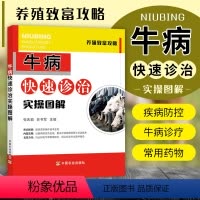 [正版]牛病快速诊治实操图解 牛病治疗全书 兽医 牛病诊断及治疗 牛场选址与布局 牛场饲养管理 牛病诊疗技术 养牛技