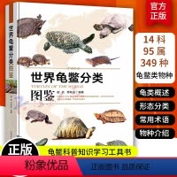 [正版]世界龟鳖分类图鉴 龟类概述分类常用术语龟类物种介绍地理分布信息 乌龟鳖类动物基础知识观赏龟养龟参考书乌龟养殖书