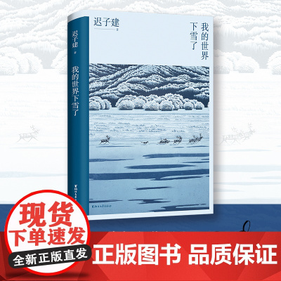 我的世界下雪了 迟子建散文系列作品 极地的生活世界的文学 温暖与百感交集的旅程 茅盾文学奖得主迟子建散文自选集书籍