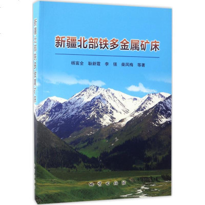 新华书店-正版新疆北部铁多金属矿床杨富全中国地质大学出版社9787116098459书籍