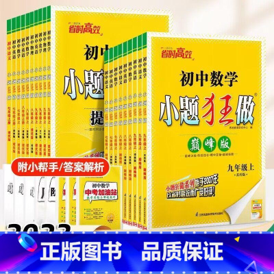[提优版]数学-苏科版 八年级上 [正版]2024版恩波初中语文数学英语物理小题狂做提优版巅峰版七八九年级上下册苏科78