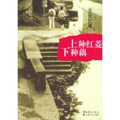 正版新书]上种红菱下种藕王安忆9787806769560