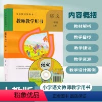 [正版]2023适用人教版小学1一年级上册语文教参教师教学用书人民教育出版社小学语文一年级上册教参教师用书教师教学用书