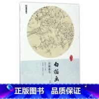 [正版]书店白描禽鸟/白描画谱