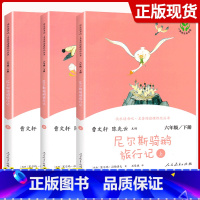 [6下]尼尔斯骑鹅旅行记(上中下)3本 [正版]快乐读书吧六年级上册下册全套爱的教育小英雄雨来童年鲁滨逊漂流记爱丽丝漫游