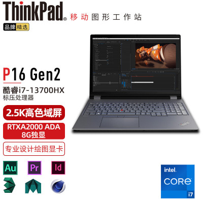 ThinkPad P16 (00CD) 英特尔酷睿i7 16英寸高性能轻薄设计师工作站笔记本电脑 i7-13700HX 16G 1TB RTXA2000 8G 2.5K超清