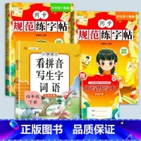 [赠听写默写本]练字帖+看拼音写生字 四年级下 [正版]四年级下册字帖规范练字帖每日一练同步人教版语文生字练字本描红斗半