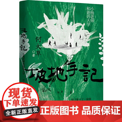 坡地手记:小杨老师和她的大学(《春山》作者何大草长篇新作)