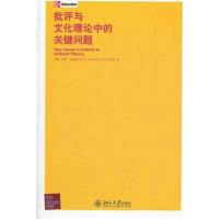 音像批评与文化理论中的关键问题(英)凯特·麦高恩