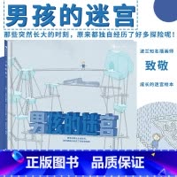 [正版]浪花朵朵 男孩的迷宫 无字书大奖入围奖 博洛尼亚童书展无字书 益智游戏绘本书籍 后浪童书