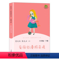 [正版]爱丽丝漫游奇境六年级下册快乐读书吧陈先云人教版阅读小学生课外书经典儿童文学书籍目老师
