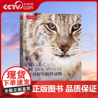 世界野生猫科动物中国国家地理全景猫盟百科全书珍惜野生哺乳动物猫科动物种类大全生物图鉴书籍神秘野生动物大猫咪图书集DL