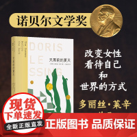 莱辛作品:天黑前的夏天多丽丝·莱辛 著,邱益鸿 译 译林出版社 正版书籍