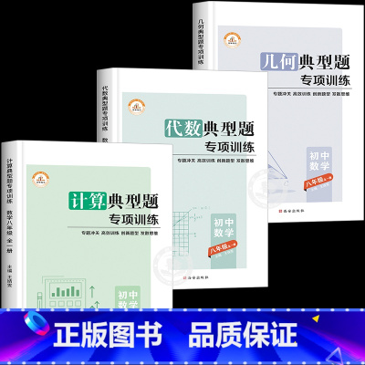 [共3本]几何典型题+计算典型题+代数典型题 八年级/初中二年级 [正版]八年级几何典型题专项训练初二数学必刷题上册下册
