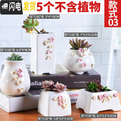 三维工匠多肉花盆陶瓷粗陶透气大口径大号盆栽创意小盆栽 款03套装03(5个) 中小花盆容器