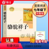 [正版]骆驼祥子老舍著原著完整版无删减七年级下册人民教育出版社7年级课外阅读书目 初中生初一课外书新编统编语文课外阅读
