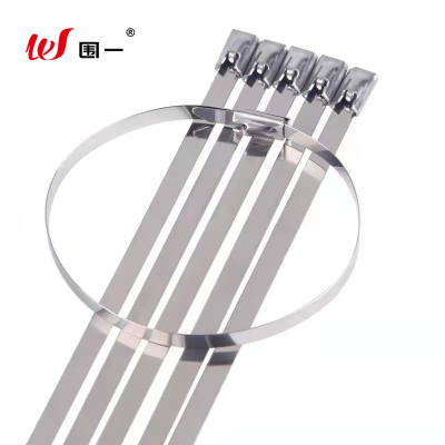 围一 不锈钢扎带 10*1200mm 条