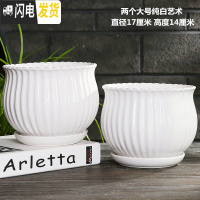 三维工匠多肉花盆陶瓷创意个性大号带托盘家用绿萝兰花北欧简约 两个大号纯白艺术 中等花盆容器