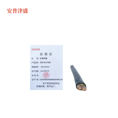 安普津盛 铜芯电力电缆 YJV2*4mm 额定电压0.6/1kv 米