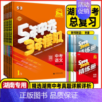 中考语文+数学共2本 湖南专用(2025版) 湖南省 [正版]2025版湖南5年中考3年模拟中考语文数学英语物理化学历史