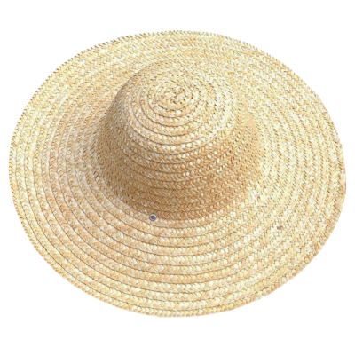 华敏 帽子 草帽圆顶 顶