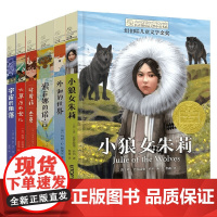 长青藤国际大奖小说书系 第十六辑 共6册 11-14岁 安·M.马丁等 著 儿童文学