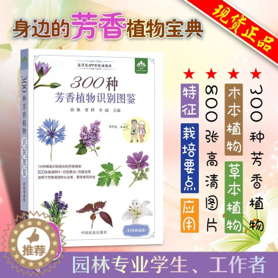 [醉染正版]300种芳香植物识别图鉴 彩色典藏版 陆琳曹桦李涵主编特征栽培要点应用花卉图鉴木本植物养花养花大全养花技术书