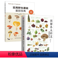 [正版]图解养生野菜速查全书+实用蘑菇鉴别宝典 全2册 食疗野菜辨别养生食谱对症偏方饮食宜忌中医养生药膳补气血补肾养心