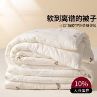A类双层纱大豆纤维被厚冬被单人春秋被褥儿童棉被被子被芯夏凉被